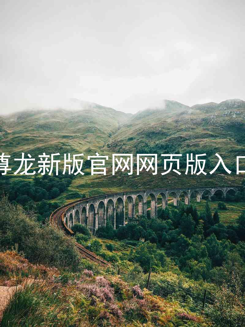 尊龙新版官网网页版入口