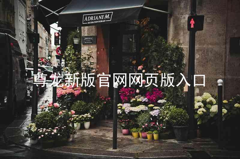 尊龙新版官网网页版入口